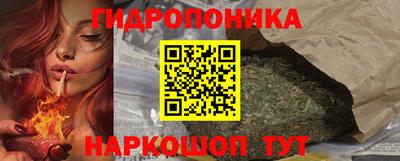 шишки Нарткала