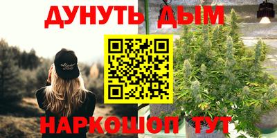 шишки Нарткала