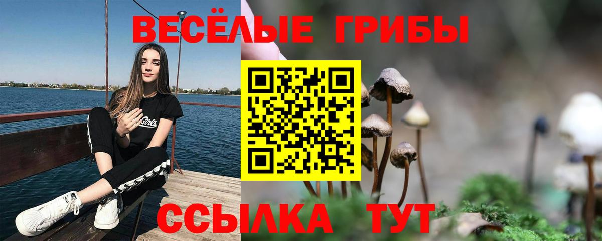 Псилоцибиновые грибы ЛСД Салават